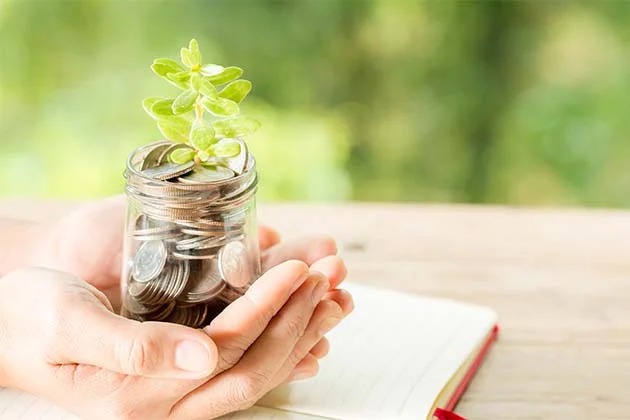 Investment Services
